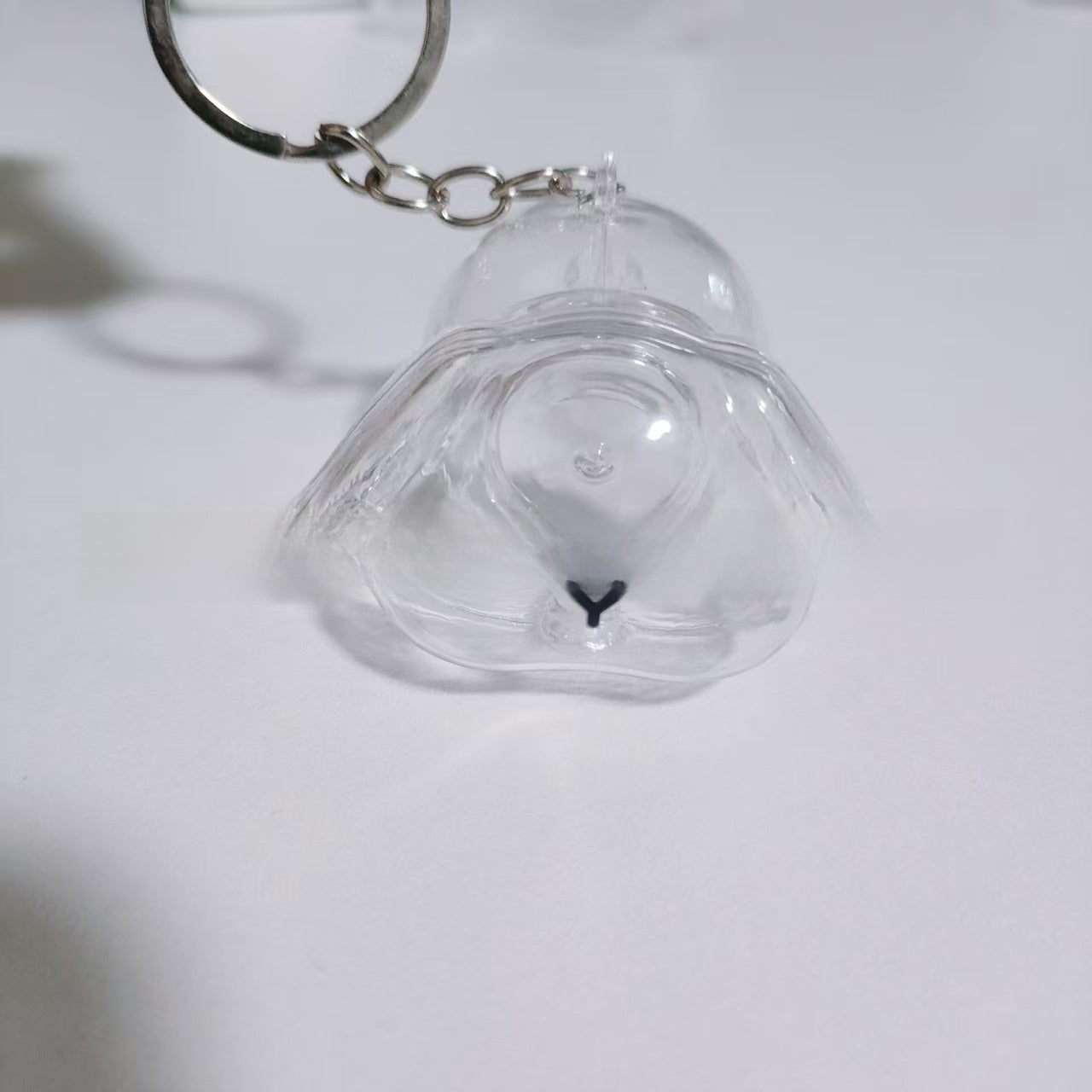 Pet Memorial Capsule