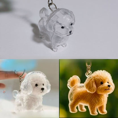 Pet Memorial Capsule