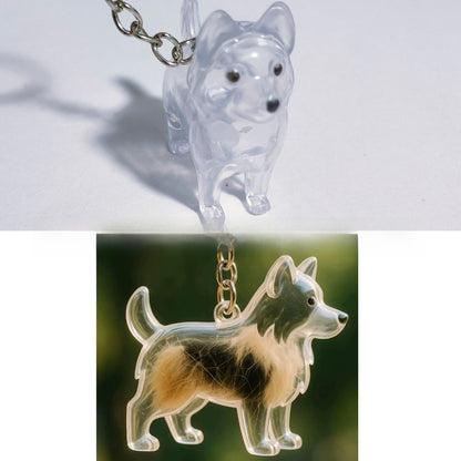 Pet Memorial Capsule