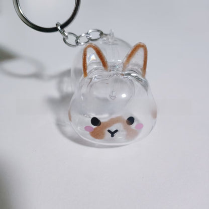 Pet Memorial Capsule
